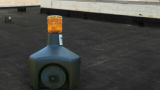 GEESE-roof-action2b-gallery