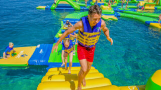 Springboard_gallery-001