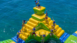 Springboard_gallery-003