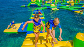 Springboard_gallery-004