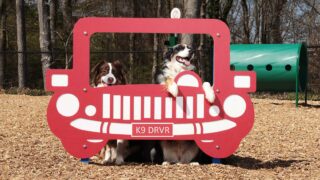 DogPark-action10-gallery