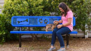 DogPark-action2-gallery