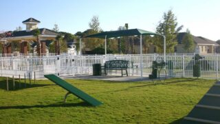 DogPark-action5-gallery