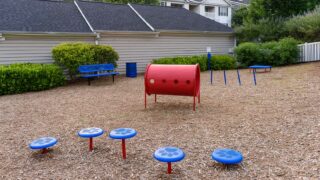 DogPark-action6-gallery