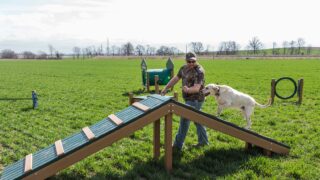 DogPark-action9-gallery