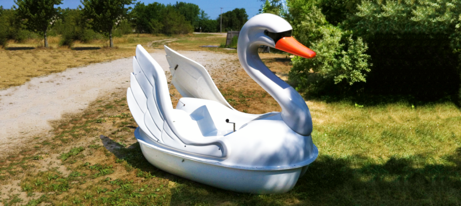 Classic Swan – Product Image