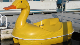 Classic Duck -gallery 2