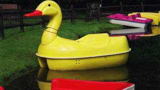 Classic Duck -gallery 3
