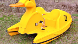 Platform Duck -gallery