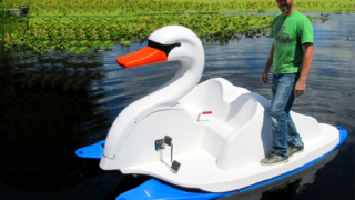 Platform Swan -gallery 2