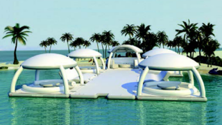 Cove -gallery