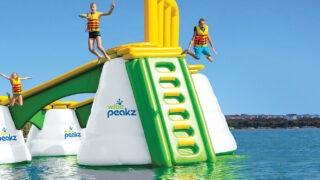 Large Climb – Product Image