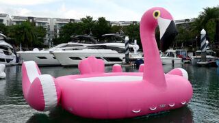 Flamingo 2 – gallery
