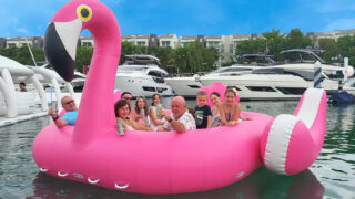 Flamingo – gallery