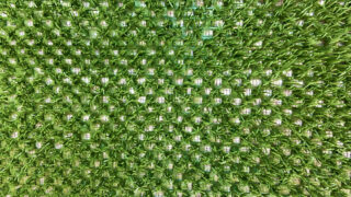 Natura Turf 10 – Gallery
