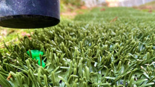 Natura Turf 13 – Gallery