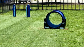 Natura Turf 15 – Gallery