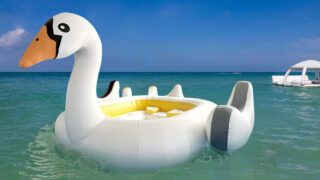 Swan – Product Image