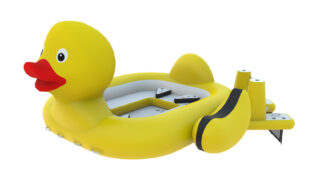 Yellow Ducky 2 -gallery