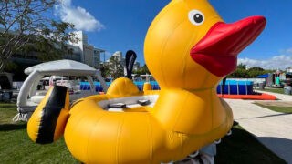 Yellow Ducky -gallery